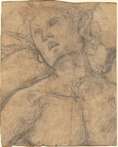 Bust of a Youth Looking Upward by Luca Signorelli