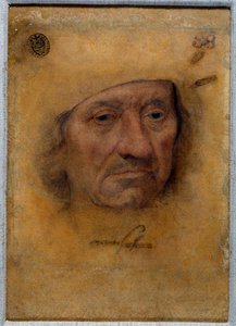 Portrait of Doctor Petrus von Clapis