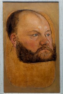 Portrait of Prince Wolf Anhalt of Saxony, Prince of the Reform