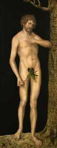 The Fall of Man: Adam by Lucas the Elder Cranach
