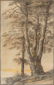 Study of Trees by Lucas van Uden