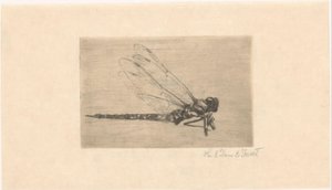 Dragonfly