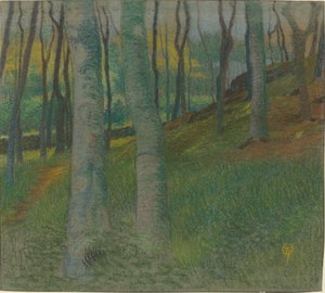 Wooded Landscape