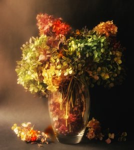 Fading Hydrangea Still Life by Ludmila Shumilova