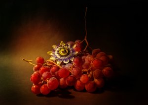 Rich Grapes Passion Bloom by Ludmila Shumilova