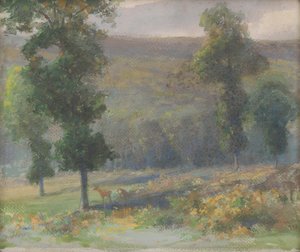 Deer in Forest
