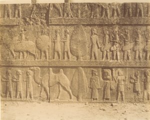 Persepolis