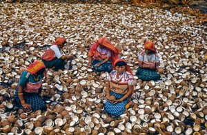 Indigenous people of Mulatas Archipelago of San Blas Islands crack coconuts for copra by Luis Marden
