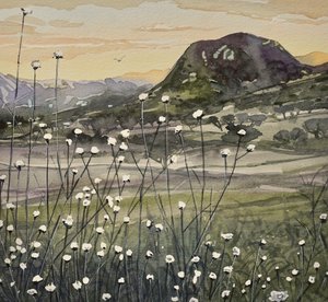 Golden Sky Wildflowers by Luisa Millicent