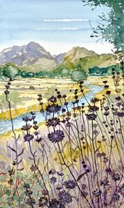 Mountain River Wildflowers by Luisa Millicent