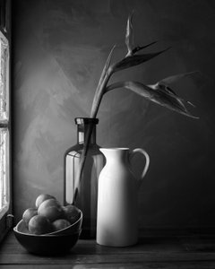 Bird of Paradise Still Life by Luiz Laercio