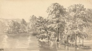 Trees by a Lake by Luke Sullivan