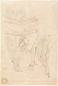 Sketches of Five Arms and a Head (verso)