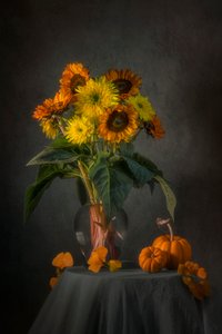 Autumn Sunflowers and Pumpkins by Lydia Jacobs