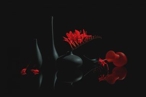 Crimson Blooms Black Vases