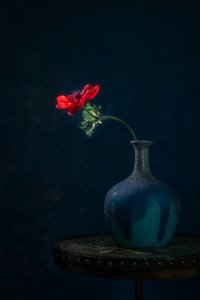 Dark Anemone Vase