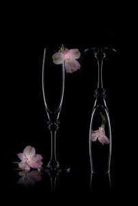 Delicate Floral Elegance by Lydia Jacobs
