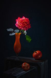 Dramatic Rose Still Life by Lydia Jacobs