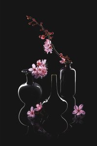 Elegant Blossom Vases