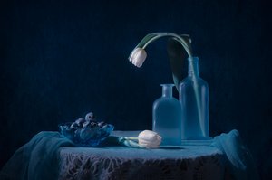Elegant Blue Still Life by Lydia Jacobs