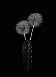 Elegant Dandelion Vase