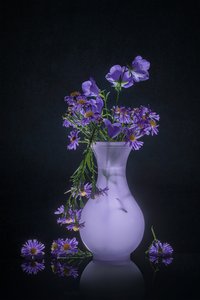 Elegant Floral Reflection
