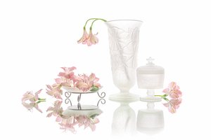 Elegant Pink Flowers Reflection by Lydia Jacobs