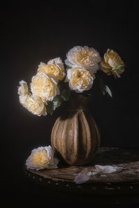 Elegant Rose Still Life