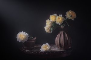 Elegant Yellow Roses by Lydia Jacobs