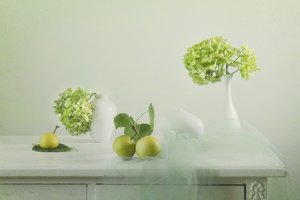 Fresh Green Still Life