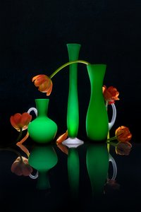 Glowing Floral Vases