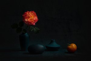 Glowing Orange Rose