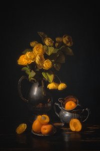 Golden Roses and Apricots
