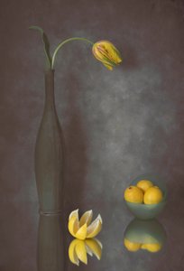 Graceful Tulip and Lemons