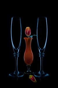 Intimate Tulip Flutes