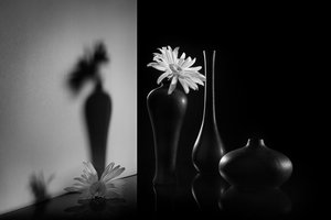Monochrome Dual Floral