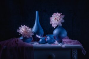 Moody Blue Dahlias