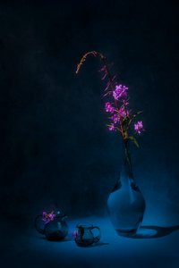 Moody Fireweed Still Life by Lydia Jacobs