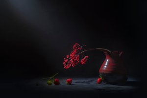 Moody Red Berries