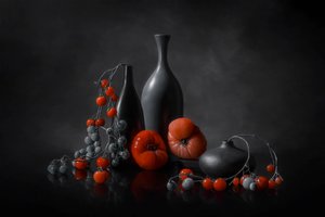 Moody Tomato Still Life by Lydia Jacobs