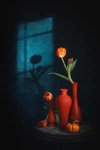 Moody Tulips Still Life