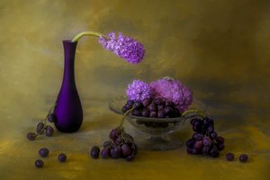 Opulent Purple Still Life by Lydia Jacobs