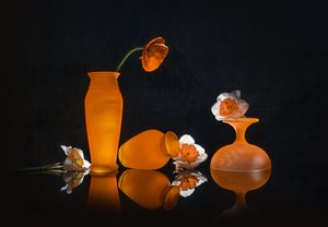Orange Blooms Still Life