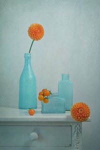 Orange Dahlia Blue Vases