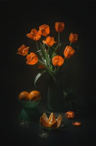 Orange Tulips Still Life
