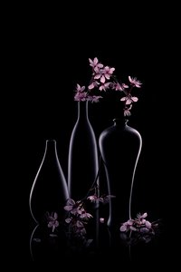 Pink Blossoms Dark Vases