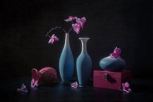 Pink Orchids and Vases