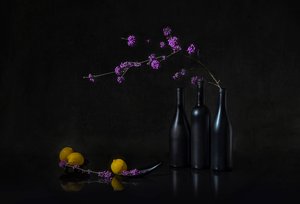 Purple Berries Dark Still Life