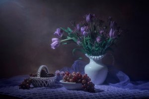 Purple Tulips Still Life