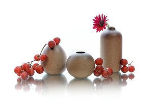 Red Berries Still Life